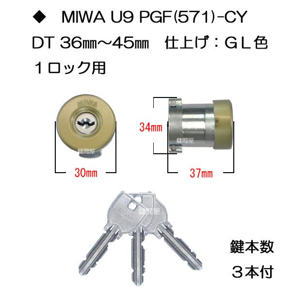 画像1: U9 PGF-CY GL色 1ロック (1)