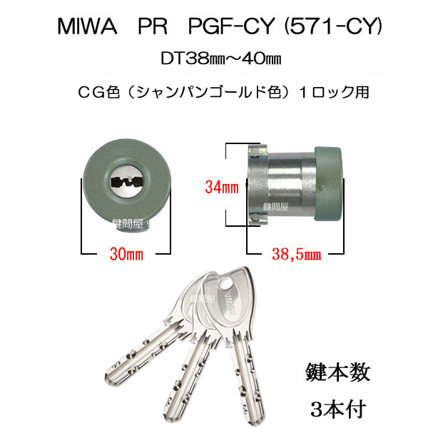 PR PGF-CY CG色 1ロック